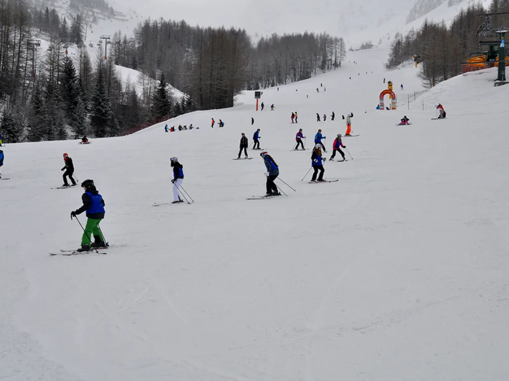 Breite Piste unter Nadelbäumen, mehrere Personen fahren talwärts.